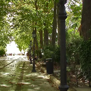 Rual Centro , Ronda Espanha